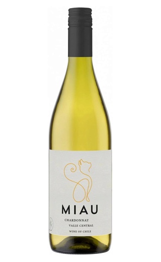 фото вино Miau Chardonnay 0,75 л