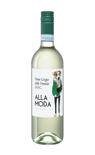 фото вино San Matteo Alla Moda Pinot Grigio 2023 0,75 л