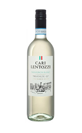 Вино Villa degli Olmi Cari Lentozzi Sauvignon Blanc Trevenezie 2023 0,75 л