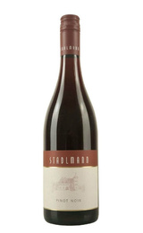 Вино Weingut Stadlmann Blauer Burgunder 2021 0,75 л