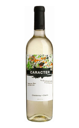 Вино Bodegas Santa Ana Caracter Chardonnay Chenin 2022 0,75 л