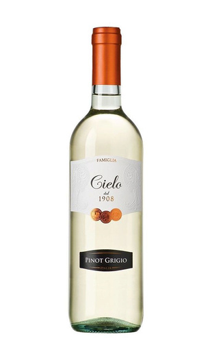 фото вино Cielo e Terra Tai Pinot Grigio 2023 0,75 л