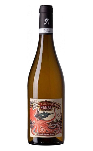 фото вино Famille Lieubeau Le Voyage Extraordinaire Muscadet 2022 0,75 л