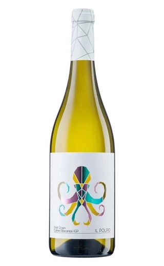 фото вино Castellani Il Polpo Pinot Grigio Colline Pescaresi 2024 0,75 л