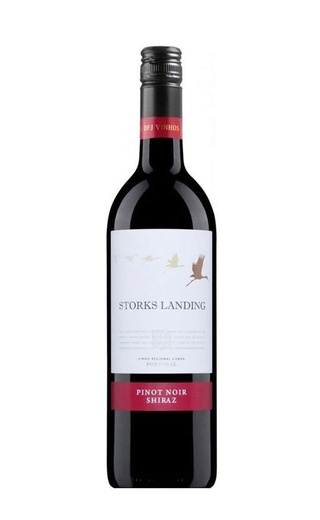 фото вино Storks Landing Pinot Noir Shiraz 2020 0,75 л