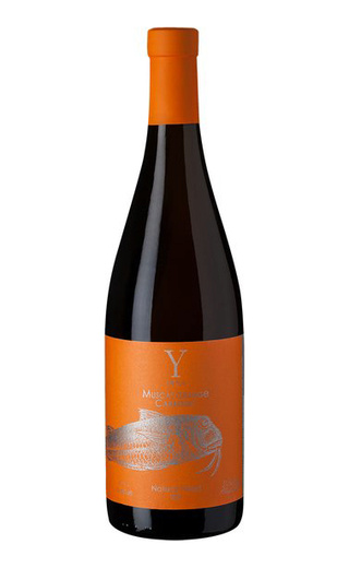 фото вино Yaila Muscat Orange 2024 0,75 л