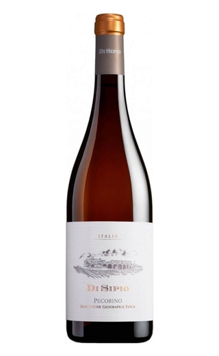 Ди Сипио Пекорино 2023 0.75 л фото вино Di Sipio Pecorino 2023 0,75 л