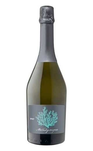 фото игристое вино Intermarium Brut 2024 0,75 л