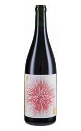 Вино Sette Grignolino 2023 0,75 л