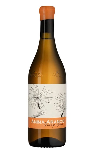 Джакомо Феноккьо Анима Аранчо Орандж Соул 2023 0.75 л фото вино Giacomo Fenocchio Anima Arancio Orange Soul 2023 0,75 л