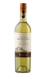 Вино San Pedro Castillo de Molina Reserva Sauvignon Blanc 2012 0,75 л