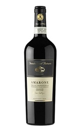 Вино Tenuta Sant'Antonio Amarone della Valpolicella Selezione Antonio Castagnedi 2013 0,75 л