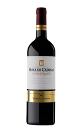 Вино Vicente Gandia Hoya de Cadenas Reserva Tempranillo 2013 0,75 л
