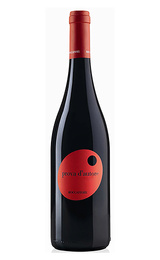 Вино Roccafiore Umbria Prova d'Autore 2013 0,75 л