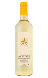 Вино Bodegas del Saz Ager Ventus Airen White Semisweet 0,75 л