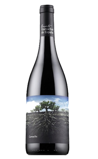 фото вино Vintae La Garnacha Salvaje Del Moncayo 2021 0,75 л