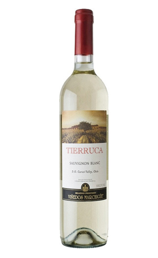 Тьерука Совиньон Блан 0.75 л фото вино Tierruca Sauvignon Blanc 0,75 л