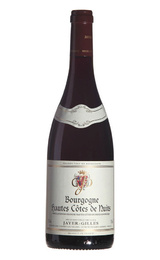 Вино Domaine Jayer-Gilles Bourgogne Hautes Cotes de Nuits Rouge 2013 0,75 л