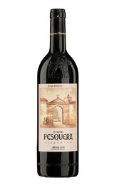 Вино Alejandro Fernandez Tinto Pesquera Millenium Reserva Gran Reserva 2009 0,75 л