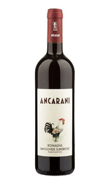 Вино Ancarani Biagio Antico Romagna Sangiovese Superiore 2017 0,75 л