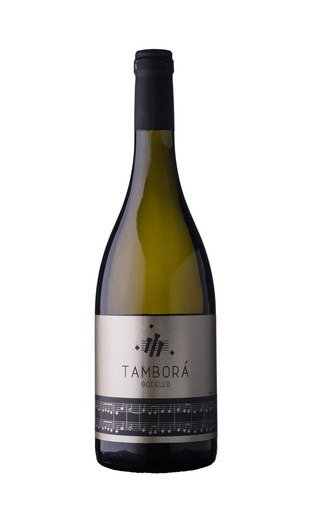 Костейра Тамбора Годельо 2018 0.75 л фото вино Costeira Tambora Godello 2018 0,75 л