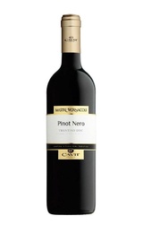 Вино Cavit Mastri Vernacoli Pinot Nero 2019 0,75 л