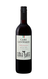 Вино Villa degli Olmi Cari Lentozzi Nero d'Avola Sicilia 2019 0,75 л