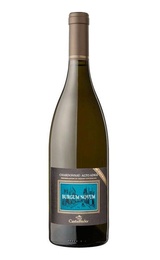 Вино Castelfeder Chardonnay Riserva Burgum Novum 2016 0,75 л