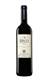 Вино Dominio De Eguren Epico 2017 0,75 л