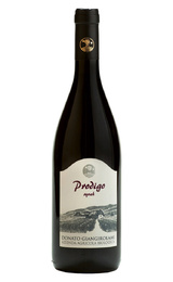 Органическое вино Donato Giangirolami Prodigo Syrah Lazio 2018 0,75 л