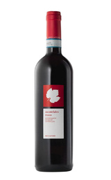 Вино Roccafiore Umbria Montefalco Rosso 2016 0,75 л