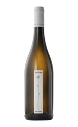 Вино Roccafiore Grechetto Umbria Fiorfiore 2017 0,75 л