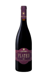 Вино Agriverde Plateo Montepulciano d'Abruzzo 2015 0,75 л