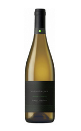 Вино Cielo e Terra Novapalma Pinot Grigio 2019 0,75 л
