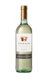 Вино Botter Villa Alba Pinot Grigio 2019 0,75 л
