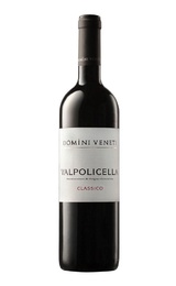 Вино Domini Veneti Valpolicella Classico 2020 0,75 л