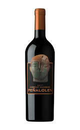 Вино Clos Quebrada De Macul Penalolen Cabernet Sauvignon 2017 0,75 л