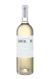Вино Avignonesi Cantaloro Bianco 2019 0,75 л