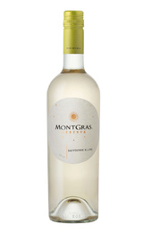 Вино Montgras Reserva Sauvignon Blanc 2020 0,75 л