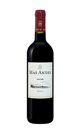Вино Mas Andes Merlot 2020 0,75 л