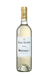 Вино Mas Andes Sauvignon Blanc 2020 0,75 л