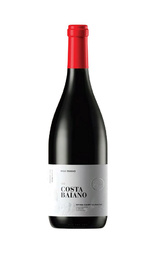 Вино Villa Raiano Costa Baiano Irpinia Campi Taurasini 2017 0,75 л