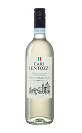 Вино Villa degli Olmi Cari Lentozzi Pinot Grigio 2021 0,75 л