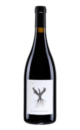 Вино Bodegas y Vinedos Alnardo Psi Ribera del Duero 2019 1,5 л