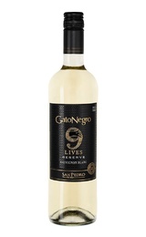 Вино San Pedro Gato Negro 9 Lives Sauvignon Blanc Reserve 2021 0,75 л