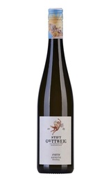 Вино Stift Gottweig Riesling 2021 0,75 л