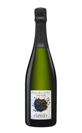 Шампанское Marie Copinet Nos pas dans La terre Complantee 0,75 л