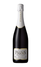 Игристое вино Santo Isidro de Pegoes 0,75 л