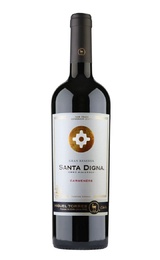 Вино Torres Santa Digna Carmenere Gran Reserva 2020 0,75 л