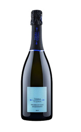 Игристое вино Casere Terra Vizina Prosecco Brut Millesimato 2021 0,75 л